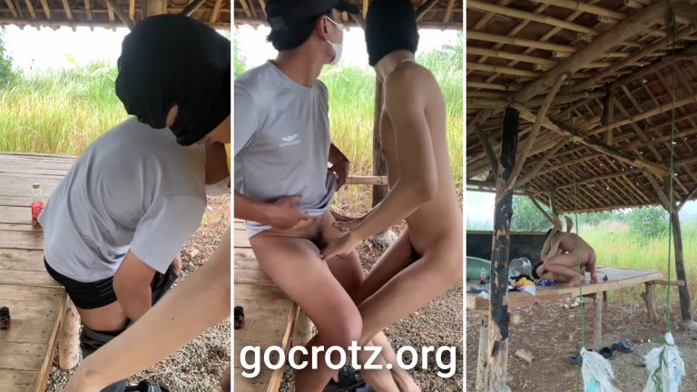 Bercocok tanam dikebun belakang