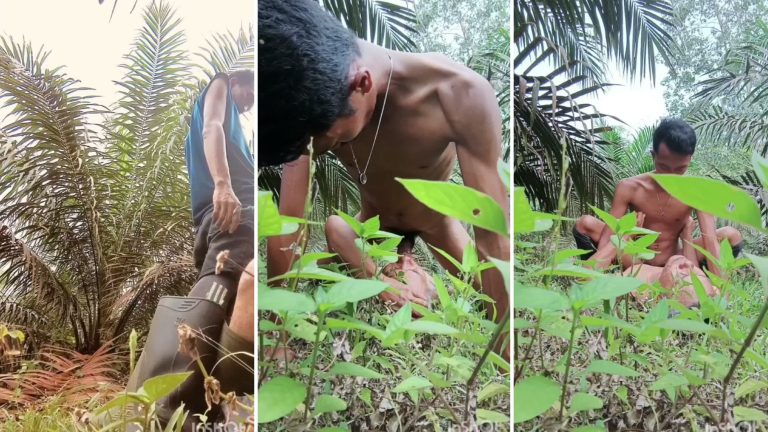 Sensasi ngeue sehabis berkebun